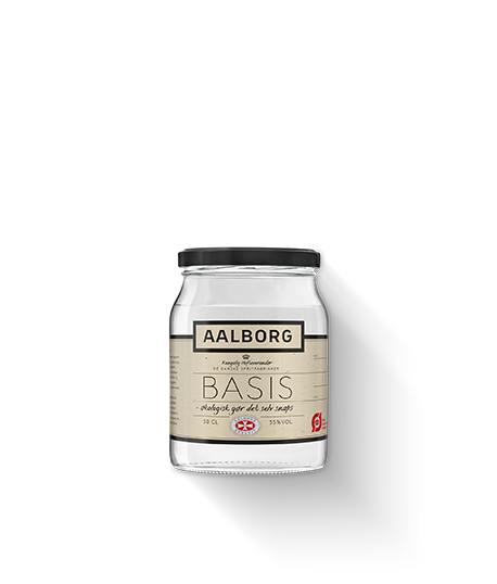 Aalborg Basis